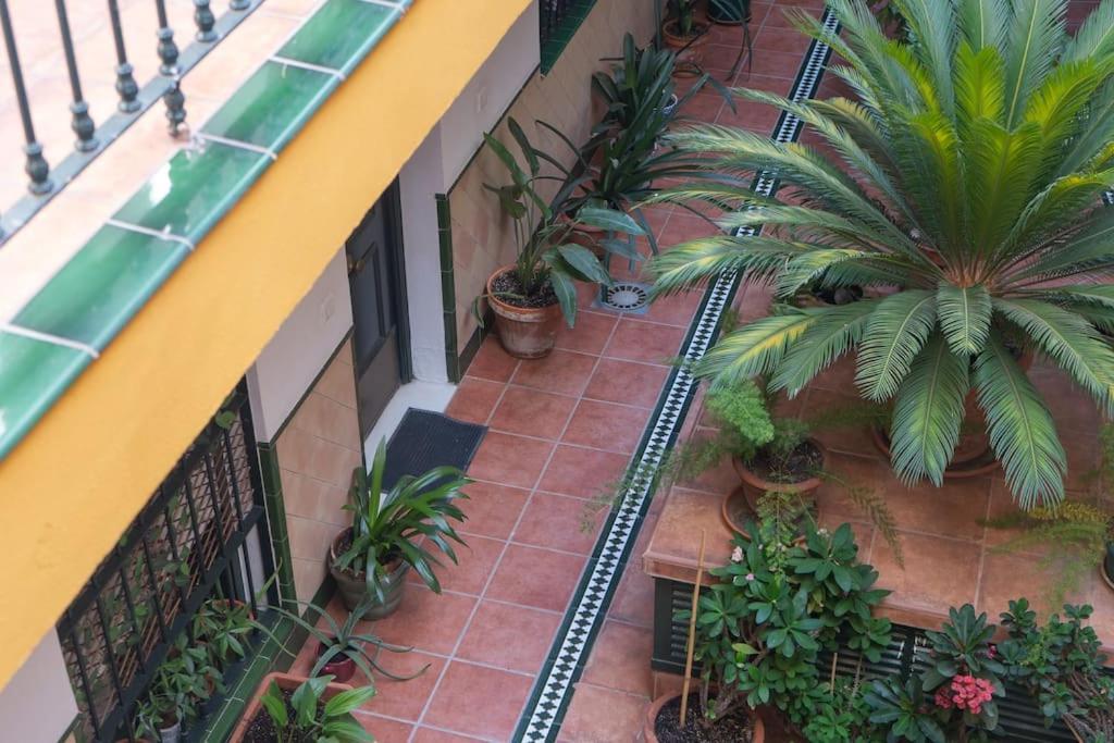 Apartamento Junto A Las Setas De Sevilla מראה חיצוני תמונה